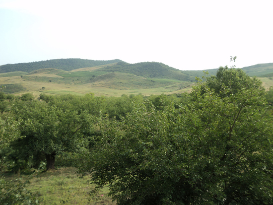 Пейзаж. Снято с крепостной стены. Амарас.