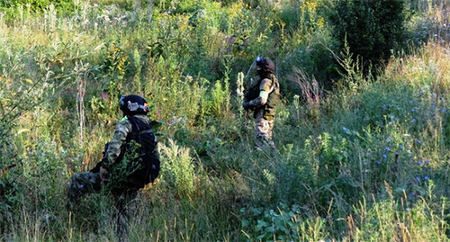 Представители силовых структур на спецоперации. Фото: http://nac.gov.ru/nakmessage/2015/08/04/v-ingushetii-neitralizovana-gruppa-iz-vosmi-boevikov-igil.html