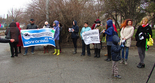 Участники митинга "За защиту животных" с плакатом. Фото Вячеслава Ященко для "Кавказского узла"