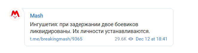 Сообщение об убийстве предполагаемых боевиков. https://t.me/breakingmash/9365