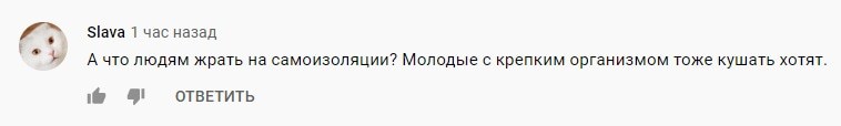 Скриншот комментария к видеообращению Виталия Калоева. https://www.youtube.com/watch?v=f0xhEE5qD_c&feature=emb_logo